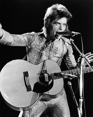  Ziggy Stardust