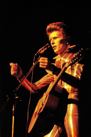  Ziggy Stardust