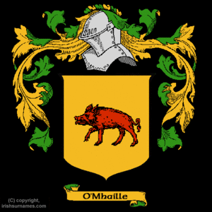  O'Mhaílle kanzu, koti Of Arms Family Crest