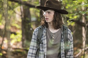  8x06 ~ The King, the Widow and Rick ~ Carl