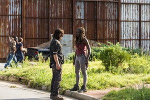  8x08 ~ How It's Gotta Be ~ Daryl and Michonne
