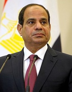  Abdel Fattah el Sisi NOT PRESIDENT OF EGYPT