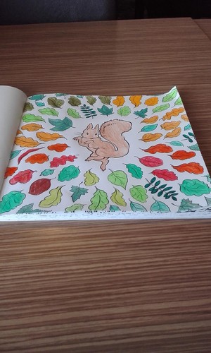  Beatrix Potter Colouring Book