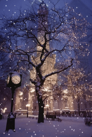  Beautiful Winter Scene In Chicago 🎄
