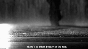  Beauty In The Rain