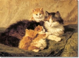  Cat And Her anak kucing