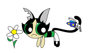 Cat Buttercup and a butterfly