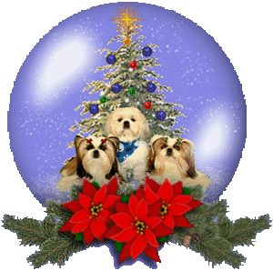  Natale Cani Snow Globe