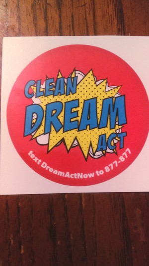  Clean Dream Act