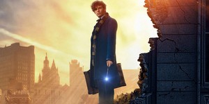  Fantastic Beasts and Where to Find Them