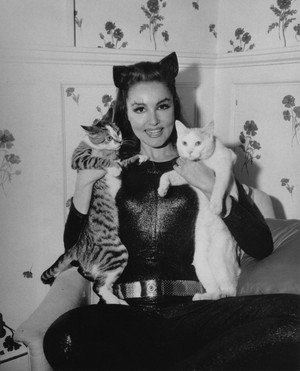  Julie Newmar And Her Kitties