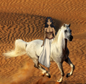  Shara riding her Beautiful Arabian White Stallion