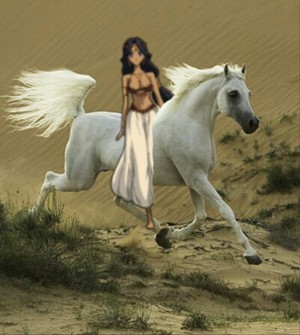  Shara rides on her Beautiful Arabian White Stallion