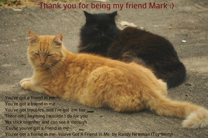  Thank u for being my friend Mark :)