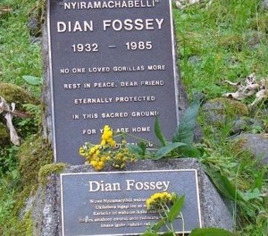  The Gravesite Of Dian Fossey