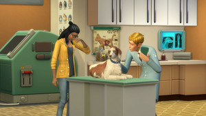  The Sims 4: chats and chiens