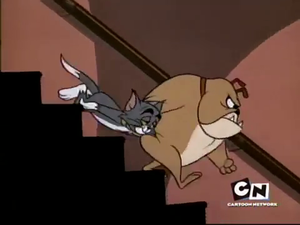  Tom and Jerry - Rock 'n' Rodent