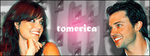  Tomerica 2009 Comic Con [Banner]