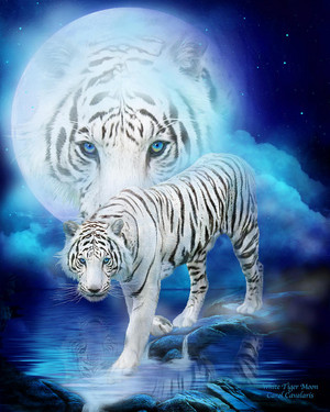  White Tiger Moon
