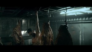 动物 (music video)