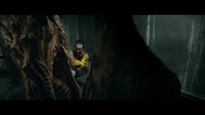  动物 (music video)