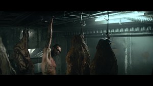  animales (music video)