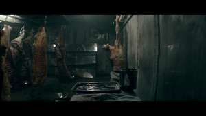 animals (music video)