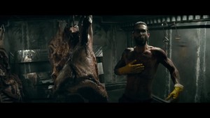  Животные (music video)