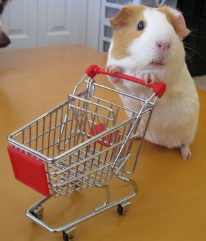 guinea pig shopping cart