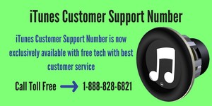  iTunes Customer Support Number