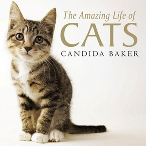  A Book Pertaining To Cats