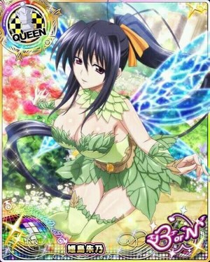  Akeno-Fairy reyna