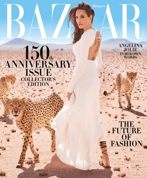 Angelina Jolie covers Harper’s Bazaar [November 2017]