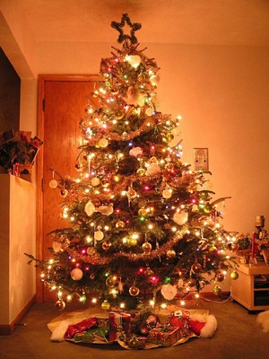 Christmas Tree\s All Over The World