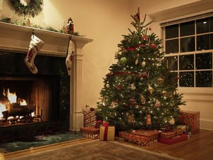  圣诞节 Tree\s All Over The World