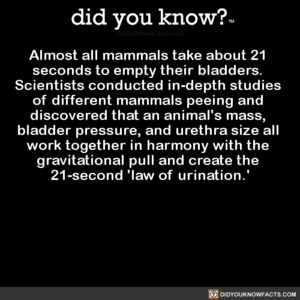  Completely Serious Science Fact