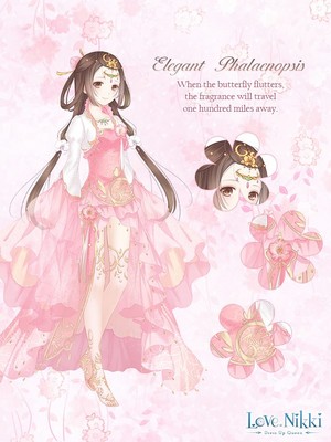  Elegant Phalaenopsis