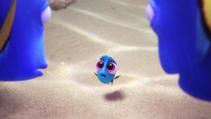  Finding Dory