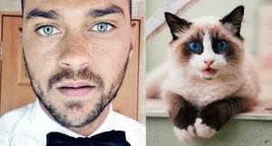  Male Celebrity vs. Cat 3