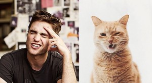  Male Celebrity vs. Cat 5