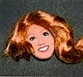  The Debbie Osmond (almost) Doll