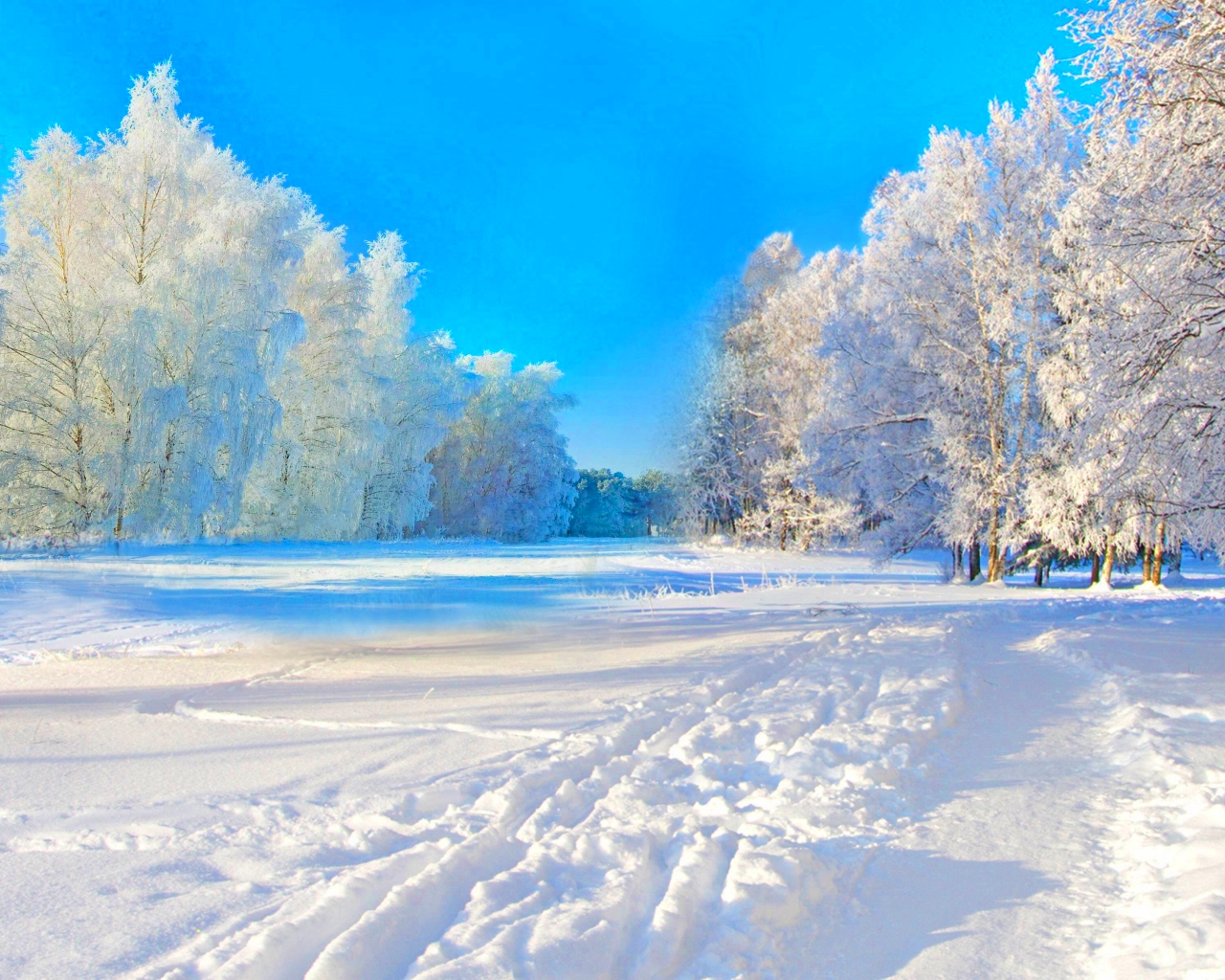 Winter - Winter Wallpaper (40916420) - Fanpop