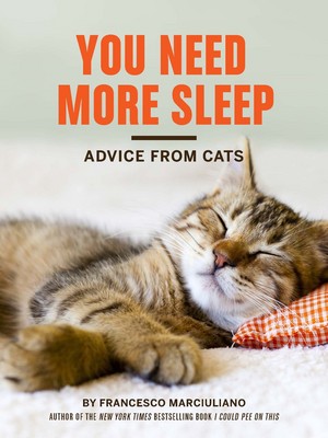  A Book Pertaining To Cats