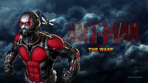  ANT MAN The wasp