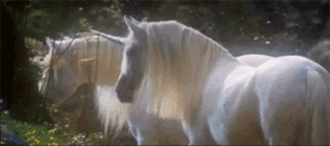 Beautiful White Unicorns