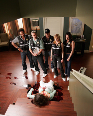  CSI - Scena del crimine Cast