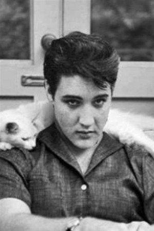  Elvis And His Cat