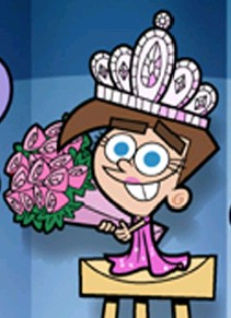  Ms. Dimmsdale Timmy