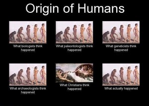  Origin of Humans