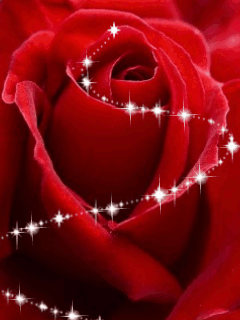  Red Rose For Valentine's Tag